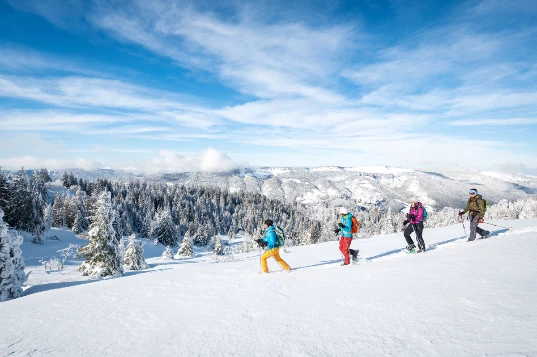 Raquettes & Bien Etre dans le Vercors - Photo 10