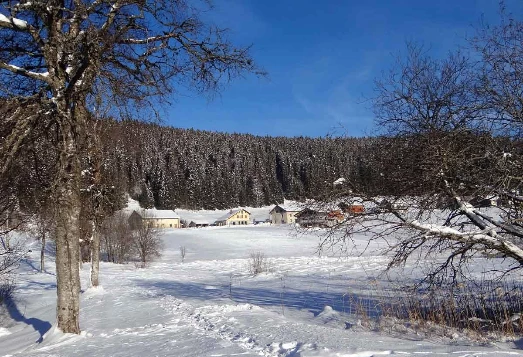 Grande Traversée du Jura en Liberté - Photo 4