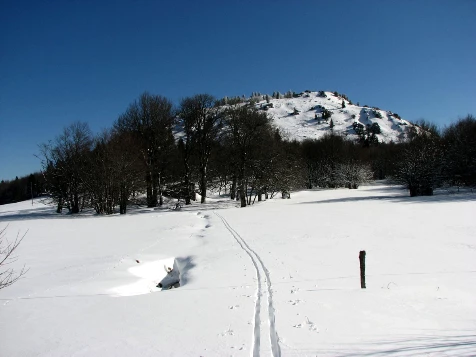Traversée de l'Ardèche en liberté - Photo 4