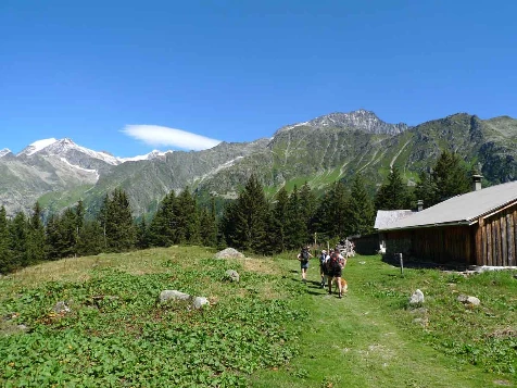 Tour du Mont Blanc Complet - Photo 10