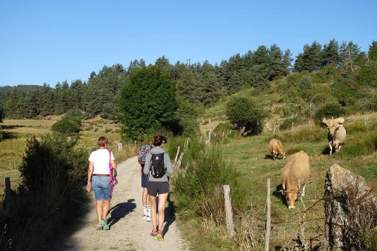 Chemins de Compostelle : Le Puy - Nasbinals - Photo 8