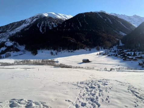 Raquettes & Bien Etre à Aletsch - Liberté - Photo 11