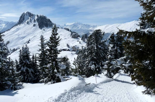 Raquettes & Bien Etre à Aletsch - Liberté - Photo 9