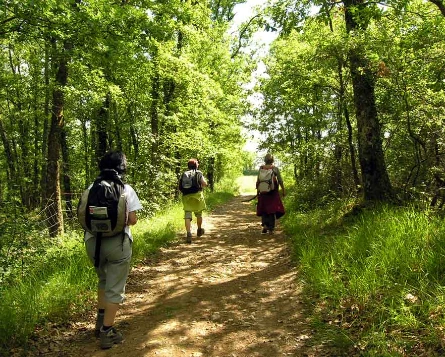 Chemins de Compostelle : Le Puy - Conques - Photo 5