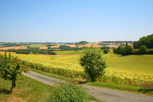 Chemins de Compostelle : Lectoure - Aire sur Adour - Photo 7