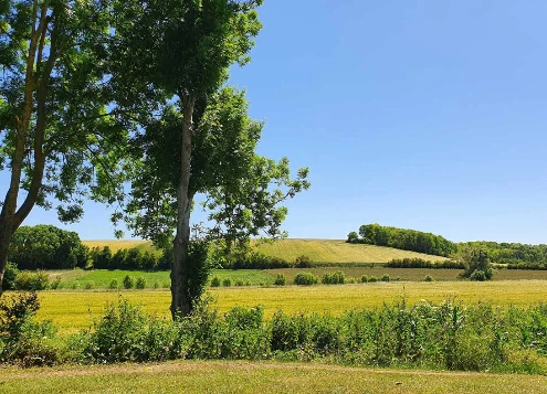 Chemins de Compostelle : Lectoure - Aire sur Adour - Photo 9