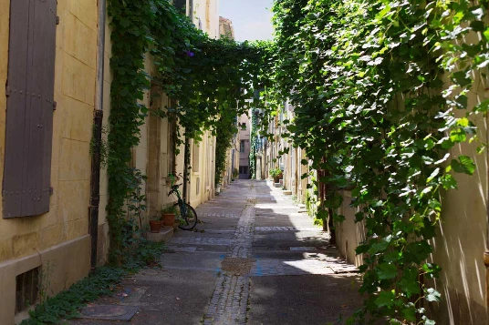 Chemins de Compostelle : Arles - Lodève - Photo 7