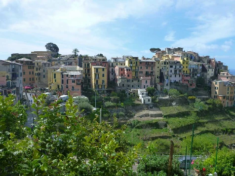 Cinque Terre - Photo 5