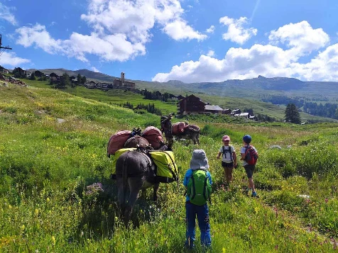 Rando Queyras avec un âne - Photo 4