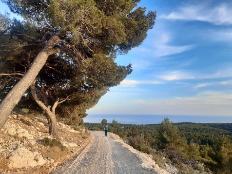 Calanques de Cassis, Ste Baume & Ste Victoire - Photo 7