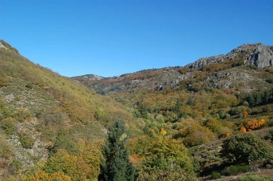 Rando & balnéo dans le Caroux - Photo 9