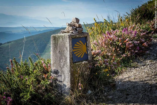 Chemins de Compostelle : Oviedo - Santiago - Photo 5