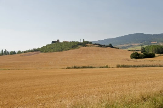 Chemins de Compostelle : Logrono - Burgos - Photo 1