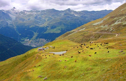 Chamonix - Zermatt - Photo 9