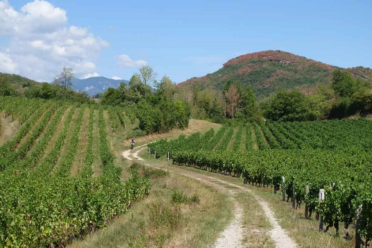 Chemins de Compostelle : Genève - St Genix sur G - Photo 4