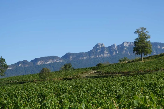 Chemins de Compostelle : Genève - St Genix sur G - Photo 6