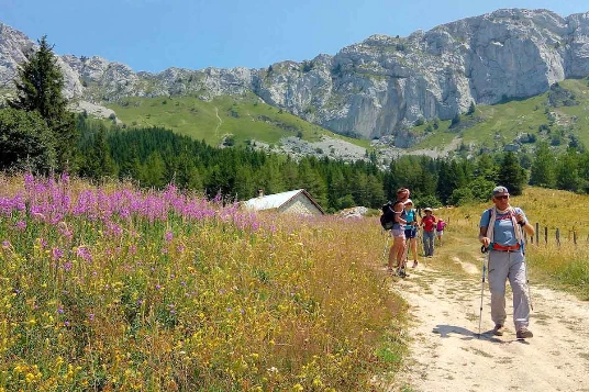 Rando & Bien Etre Vercors en liberté - Photo 6