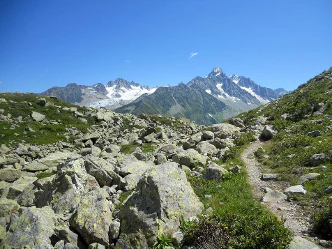 Tour du Mont Blanc Complet en liberté - Photo 7