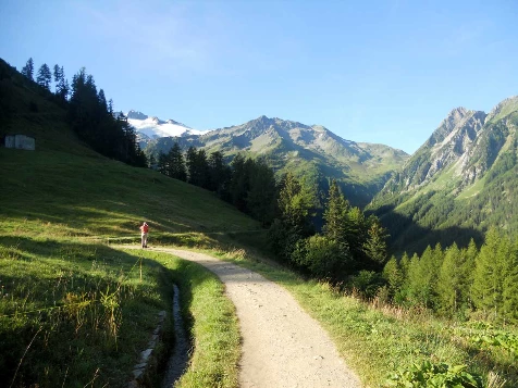 Tour du Mont Blanc Complet en liberté - Photo 5