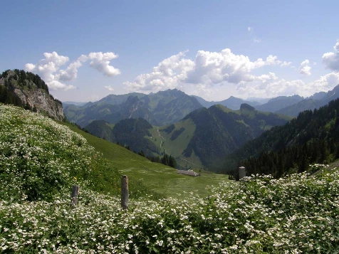 Balcons de Gruyère en Liberté - Photo 1