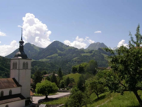 Balcons de Gruyère en Liberté - Photo 9