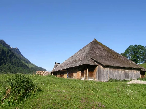 Balcons de Gruyère en Liberté - Photo 4