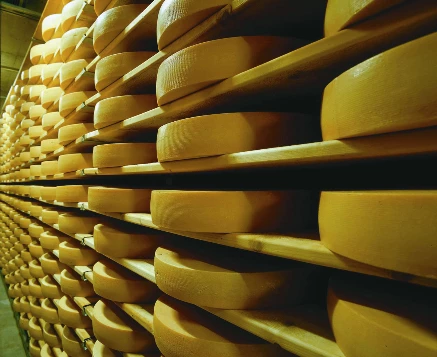 Balcons de Gruyère en Liberté - Photo 12