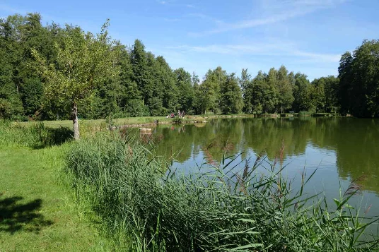 Chemins de Compostelle : St Genix sur G - Condrieu - Photo 11