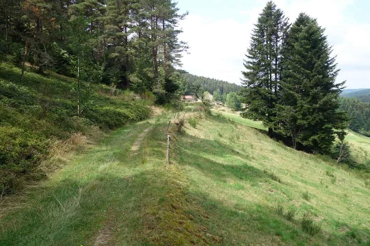 Chemins de Compostelle : Genève -  Le Puy - Photo 5