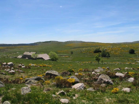 Stevenson : du Puy a Chasserades - Photo 1