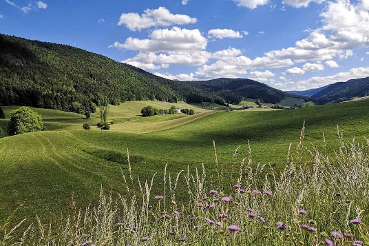 Vercors d'Exception en liberté - Photo 4