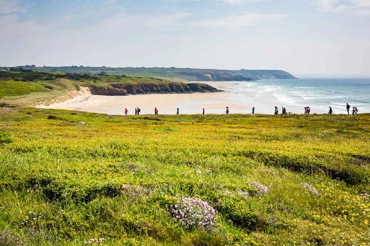 Presqu'île de Crozon Ouessant - Photo 4