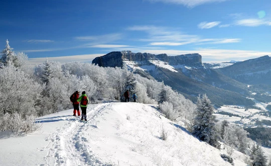 Raquettes douces en Chartreuse - Photo 5