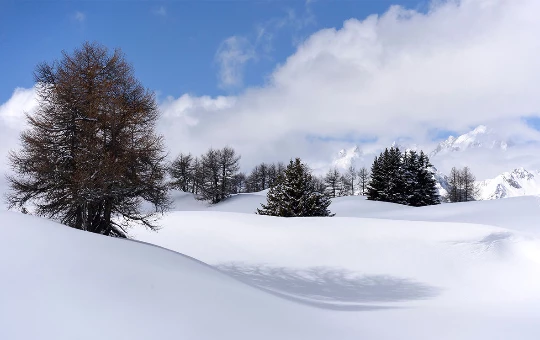 Mont Blanc et Val d'Outa - Photo 3