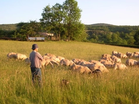 Aveyron en Famille - Photo 5