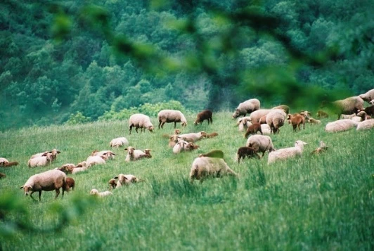Aveyron en Famille - Photo 6
