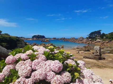 La Côte de Granit Rose en Liberté - Photo 4
