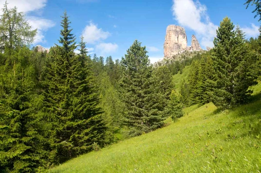 Traversée des Dolomites liberté - Photo 5