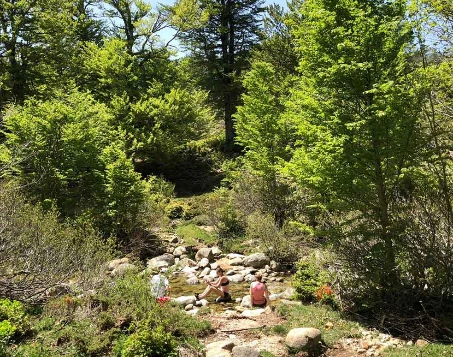 GR20 Sud : Bavella - Vizzavona - Photo 4