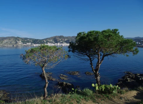 Collioure Cadaques - Photo 4