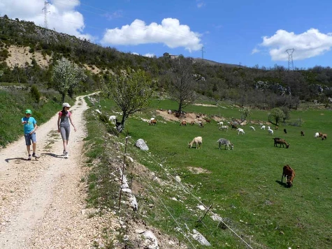 Tour des Gorges du Verdon en liberté - Photo 7