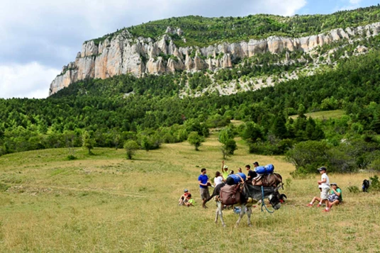 Nomades en Diois avec un âne - Photo 7