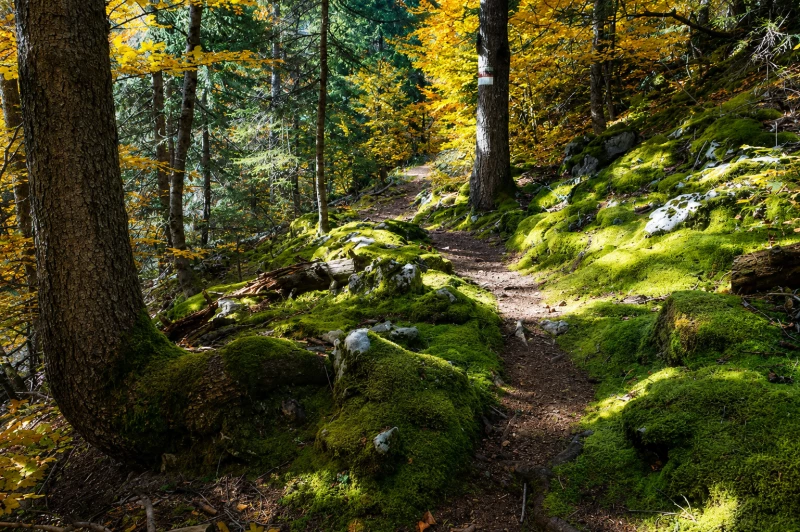 Traversée des Alpages des Aravis - Photo 2