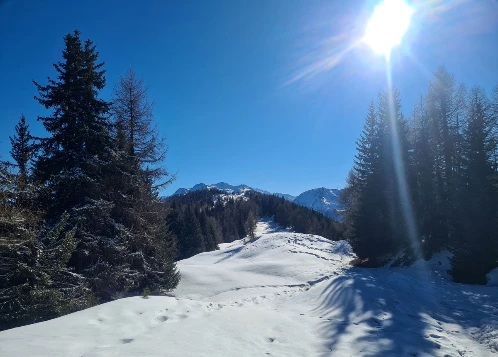 Mont Blanc et Val d'Outa - Photo 2