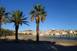 Rando & bien-être Banyuls - Photo 3