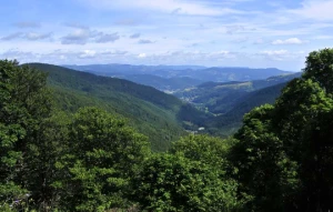 Tour des Hautes Vosges en liberté - Photo 2