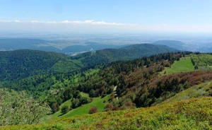 Tour des Hautes Vosges en liberté - Photo 1