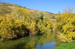 Le Rhône à vélo : Lyon - Montélimar - Photo 3