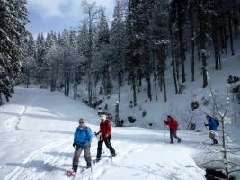Traversée de la Haute Forêt Noire - Photo 1