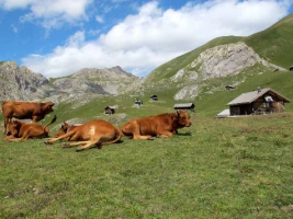 Multiactivités dans le Queyras - Photo 1